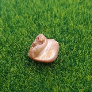 Caramel Mother Of Pearl Charm P308